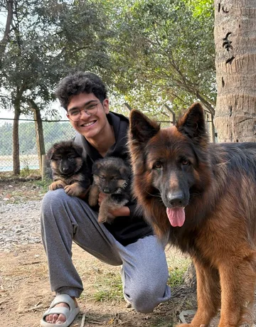 German Shepherd with puppies