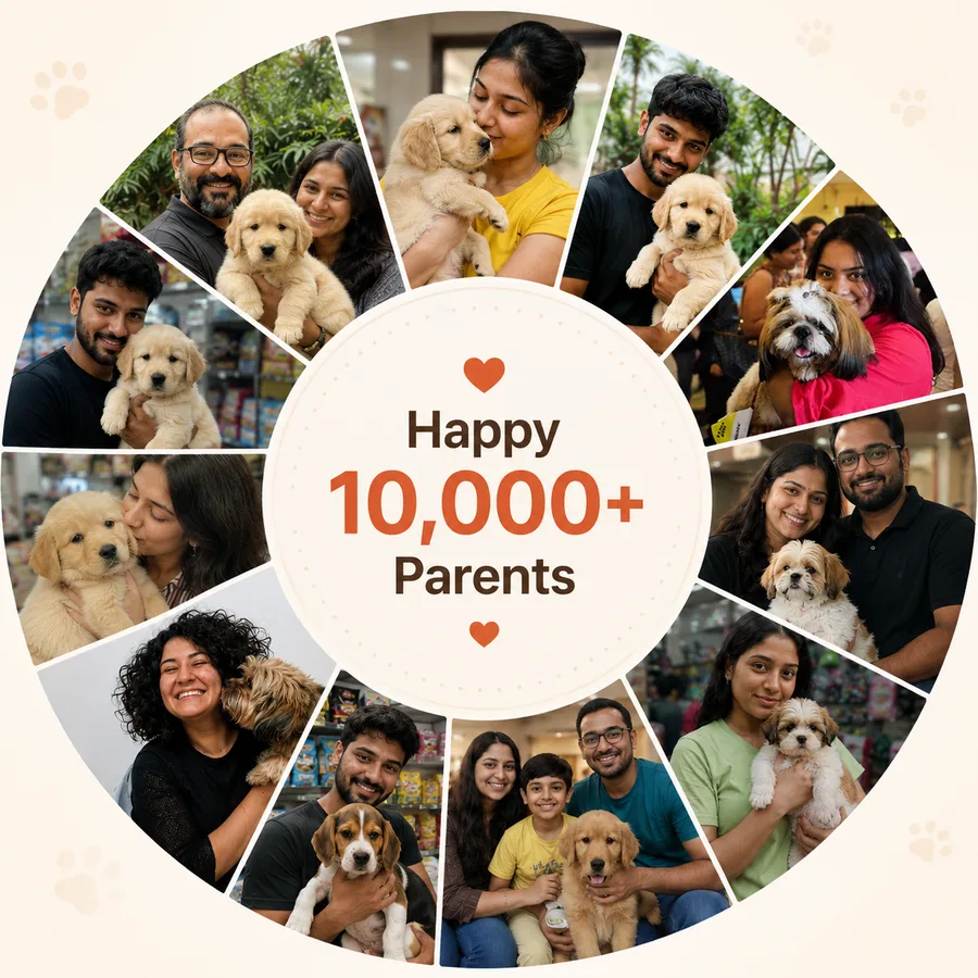 Collage of 10,000+ happy pet parents with their puppies from White Hunters Kennel